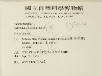 登錄號:F0003260藏品圖，第2張