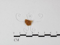登錄號:F0003260藏品圖，第1張