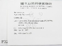 鬼傘屬藏品圖，第2張