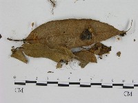 登錄號:F0003263藏品圖，第3張
