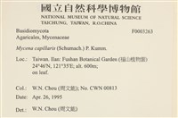登錄號:F0003263藏品圖，第4張