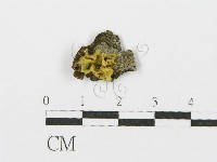 登錄號:F0003265藏品圖，第1張