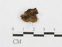 登錄號:F0003265藏品圖，第3張