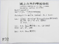 登錄號:F0003267藏品圖，第2張