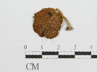 登錄號:F0003267藏品圖，第1張