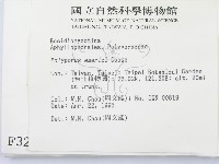 登錄號:F0003269藏品圖，第2張