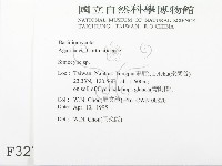 登錄號:F0003270藏品圖，第2張