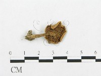 登錄號:F0003270藏品圖，第1張