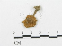 登錄號:F0003270藏品圖，第3張