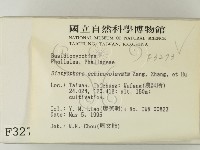 登錄號:F0003273藏品圖，第2張