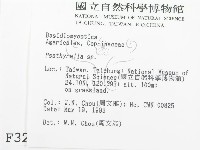 登錄號:F0003275藏品圖，第2張