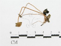 登錄號:F0003277藏品圖，第1張