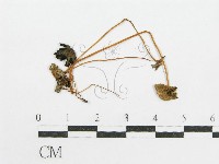 登錄號:F0003277藏品圖，第3張