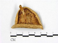 登錄號:F0003278藏品圖，第3張