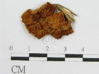 登錄號:F0003280藏品圖，第1張