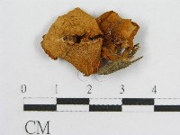 登錄號:F0003280藏品圖，第3張