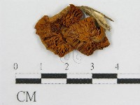 登錄號:F0003280藏品圖，第4張