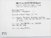 登錄號:F0003284藏品圖，第2張