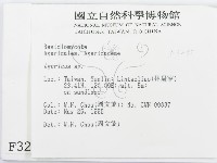 傘菌屬藏品圖，第2張