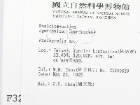 登錄號:F0003287藏品圖，第2張