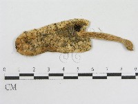 登錄號:F0003288藏品圖，第1張