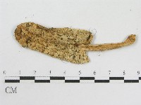 登錄號:F0003288藏品圖，第3張