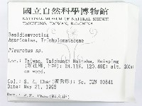 側耳屬藏品圖，第2張