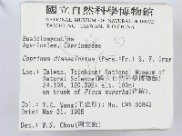 登錄號:F0003290藏品圖，第2張