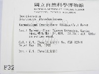 登錄號:F0003292藏品圖，第2張