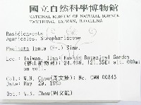 登錄號:F0003293藏品圖，第2張