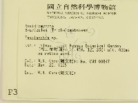 登錄號:F0003295藏品圖，第2張