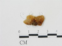 登錄號:F0003295藏品圖，第3張