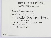 小皮傘屬藏品圖，第2張