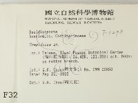 登錄號:F0003298藏品圖，第2張