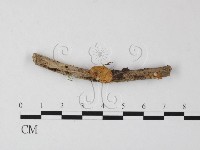 登錄號:F0003298藏品圖，第1張