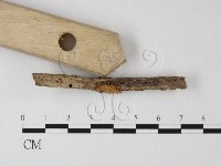 登錄號:F0003298藏品圖，第3張