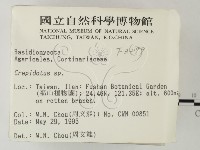 登錄號:F0003299藏品圖，第2張