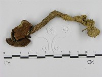 登錄號:F0003301藏品圖，第3張