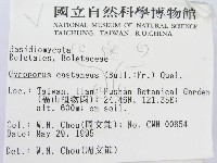 登錄號:F0003302藏品圖，第2張