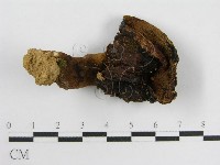 登錄號:F0003302藏品圖，第1張