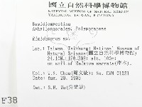 登錄號:F0003303藏品圖，第2張