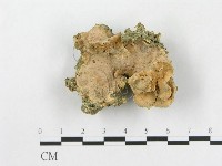 登錄號:F0003303藏品圖，第1張