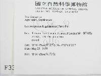 登錄號:F0003305藏品圖，第2張