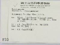 登錄號:F0003306藏品圖，第2張