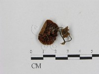 登錄號:F0003306藏品圖，第3張