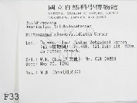 登錄號:F0003307藏品圖，第2張