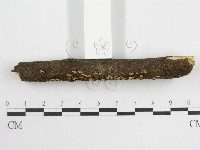 登錄號:F0003307藏品圖，第4張