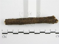 登錄號:F0003307藏品圖，第6張
