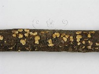登錄號:F0003307藏品圖，第7張