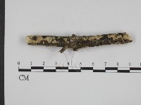登錄號:F0003308藏品圖，第1張